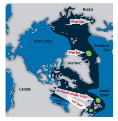 Figure 4. Fig. 1. from Stenson 2014, on the conclusions of the working group on harp and hooded seal status. Green spots are pupping and moulting areas, dark blue is the total distribution area. The “West Ice” off East Greenland is used by both species.