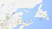 Rimouski_St Lawrence polar bear location Feb 2015