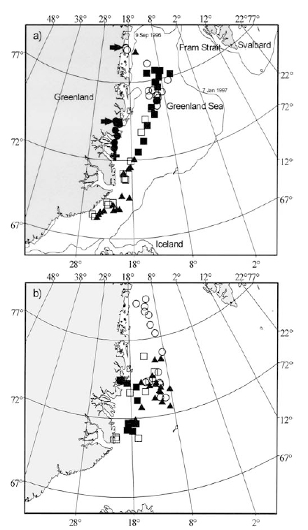 Figure 3. Positions by season of female polar bear D7356 (tracked for almost 4 years) over the pack ice: (a) October to March (winter/early spring); (b) April-June (mid-late spring). This is Fig. 1 from Wiig et al. 2003:510. “Filled dots 1994, filled squares 1995, filled triangles 1996, open dots 1997, open squares 1998. Arrows indicate denning positions and cross indicates tagging position. Minimum (9 Sept 1996) and maximum (7 Jan 1997) ice extent in the study period are indicated.” Click to enlarge. 