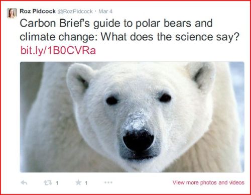 Pidcock tweet on polar bears at 5 March 2015 6_20PM Pacific