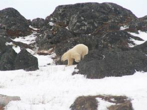 Photo from VOCM news report.