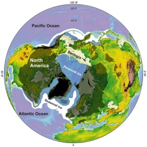 Figure 2. Approximate sea ice extent at the Last Glacial Maximum: blue is perennial sea ice (present year round) and white is seasonal sea ice at its maximum (late winter). Purple is open ocean; black and dark grey are continental ice sheets; cream areas are land bridges exposed by lower sea level. Sea ice added by J.F. Baichtal, from this image, labels added by SJ Crockford. Click to enlarge.