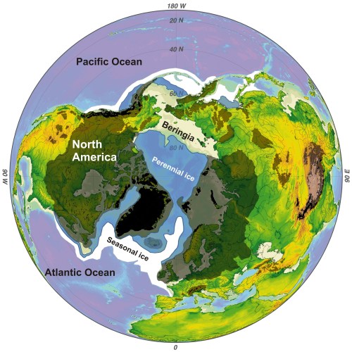 NH Perennial and Annual Ice at LGM_JFBaichtal_PolarBearScience_sm