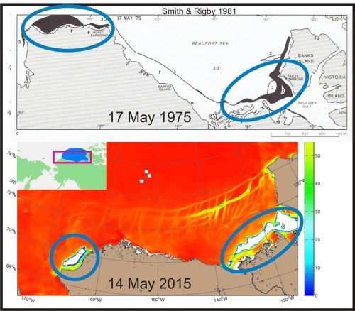 Bathurst and W Beaufort polynyas_1975 vs 2015_PolarBearScience