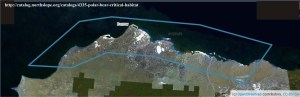 Critical habitat Polar Bears US_NorthSlopeOrg map_labeled_PolarBearScience