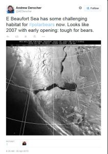 Figure 6. Tweet from polar bear biologist Andrew Derocher, 30 April 2015