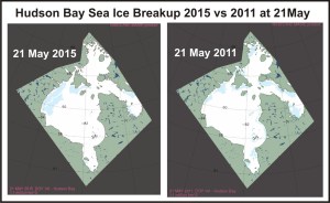 Figure 4. From NSIDC MAISE, 2011 (right) had almost exactly the same amount of ice cover at 21 May as did 2015 (left), according to CIS chart, Fig. 6. (below). However, the ice was distributed differently. There was an extensive wide shore lead along eastern Hudson Bay in 2011 that extended into James Bay – we are seeing none of that open water this year at this date (see also Fig.1). Despite the large patch of open water in NW Hudson Bay, there is also very little open water in Hudson Strait this year – much less than there was in 2011, which was an earlier breakup year.