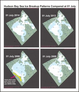 Figure 8. Hudson Bay sea ice patterns compared at 01 July (Region 10, day 182), which has been the average date of breakup since 1991: 2014, 2013, 2006, 2009. NSIDC MAISE products archive. Note that 2009 had one of the latest breakup dates on record (30 July), while 2006 was relatively early (mid-June). Breakup ice patterns and dates for Hudson Bay are variable year to year, as is ice cover over Hudson Strait. http://en.wikipedia.org/wiki/Hudson_Strait Click to enlarge.
