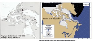 Polynyas and shore leads vs sea ice at 20 May 2015_PolarBearScience