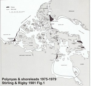 Polynyas and shore leads_Smith and Rigby 1981