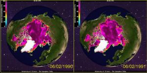 Figure 4. Sea ice concentration at 2 June 1990 (left) and 1991 (right). 2 June was the official breakup date for WHB. Click to enlarge.