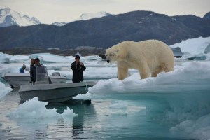 Greenland South_polar-bear-nanortalik-08_henrik-hansen_June_18_2015