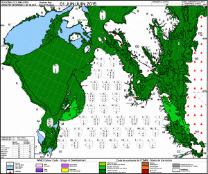 Figure 5. Sea ice development (age) over the Hudson Bay region at 1 June 2015. CIS. Click to enlarge.