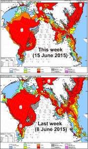 Figure 2c. Hudson Bay sea ice concentration for the week of 15 June (top) vs. 8 June (bottom). CIS. Click to enlarge.