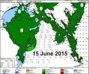 Figure 2c. Hudson Bay sea ice age for the week of 15 June. CIS. Click to enlarge.