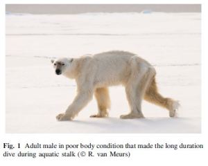 Stirling and van Meurs_2015 in press Fig 1