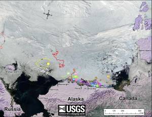 Figure 1. Original caption: 