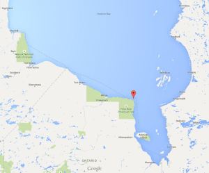 Cape Henrietta Maria ON_SH bears ashore