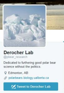 Derocher lab twitter page