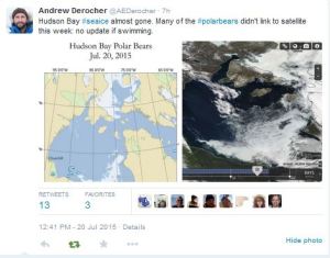 Derocher tweet 2015 July 20 tracking update WHB