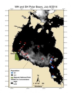 Figure 7. Positions of Western and Southern Hudson Bay females with collars, on remnant ice at 8 July. Courtesy Polar Bears International.
