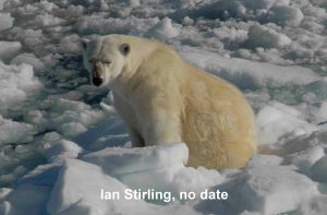 Stirling 01 no date_sm