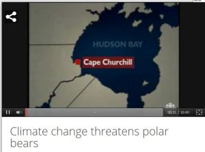 Climate change threatens polar bears_CBC 1999