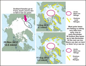 Sea ice and summer refuges for polar bears_17 Aug 2015