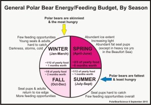 Polar bear feeding budget_PolarBearScience_6Sept2015