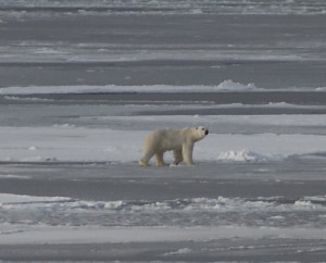 Thin ice Lisa Robbins Sept 15 USGS_04
