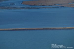 walrus haul out NOAA Sept 2 2015