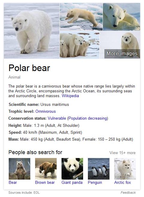 EOL_polar bear_at 21 Dec 2015 listed by Google