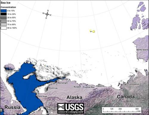 Beaufort tracking USGS bear-movements-November 2015 sm