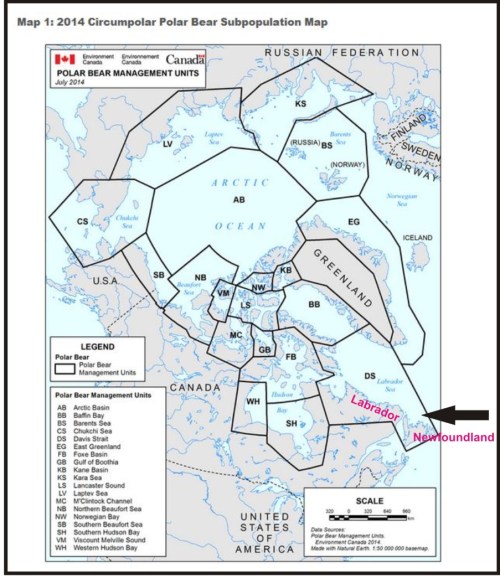 Davis Stait in EC context