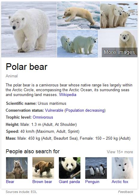 EOL_polar bear_at 16 Jan 2016 listed by Google