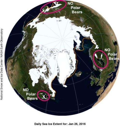 Polar bear habitat at 26 Jan 2016_no bears marked_PolarBearScience_sm
