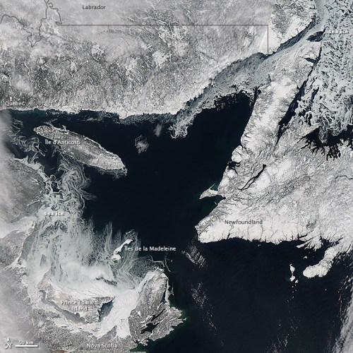 Gulf of St Lawrence ice_Feb 20 2013_NASA EarthObservatory_sm w labels