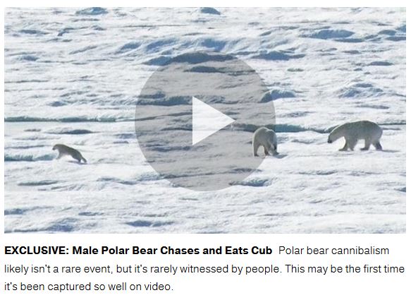 National Geographic 2015 cruise Cannibalism video screencap_Feb 23 2016