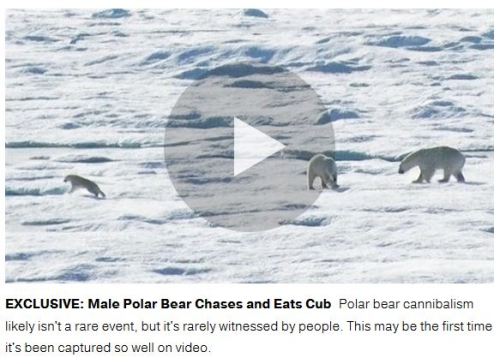 National Geographic 2015 cruise Cannibalism video screencap_Feb 23 2016