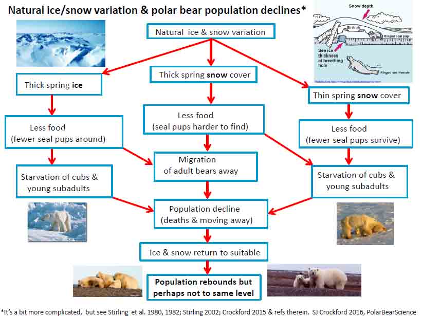 Natural ice_snow variation and polar bears_model_PolarBearScienceFeb 20 2016