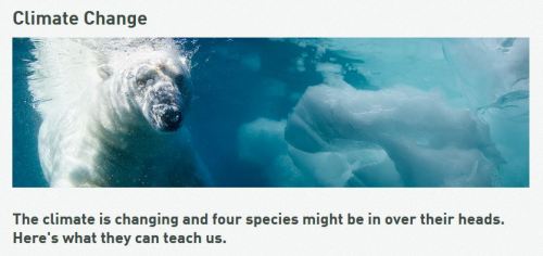 2016 New Trail spring mag_feature_Derocher Stirling