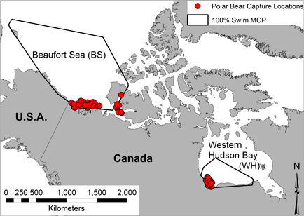 Pilfold Derocher_2016_fig-0001