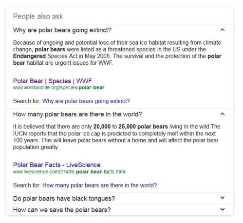 Google search for polar bear_what people also ask_15 May 2016