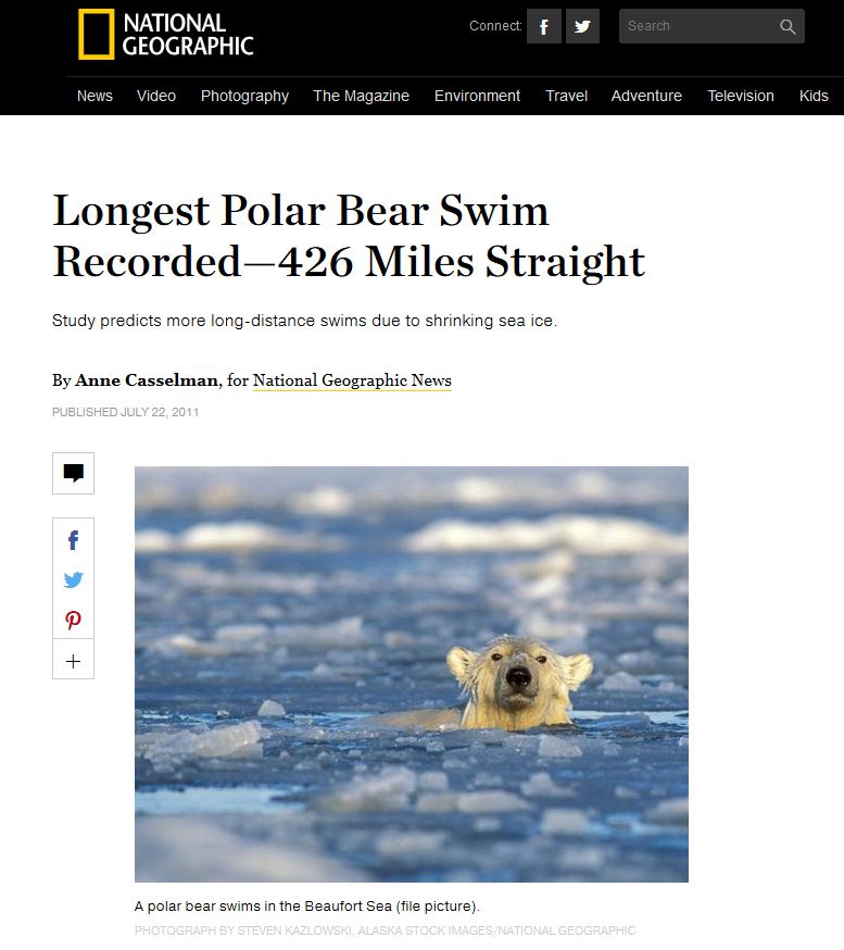 cartoon polar bear cubs swimming