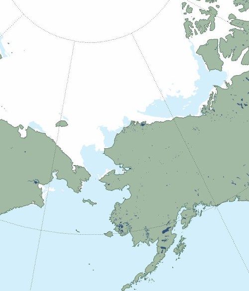 Masie sea ice 2016 at 8 June closeup Chukchi Beaufort_polarbearscience