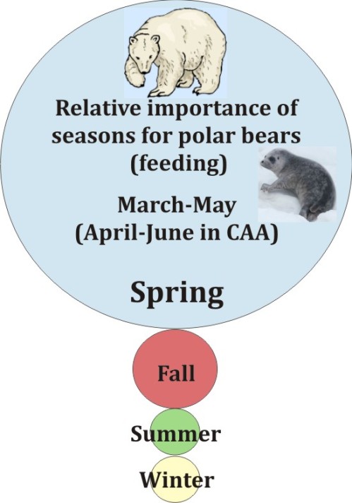 Relative importance of seasons polar bear graphic_PolarBearScience_June2016