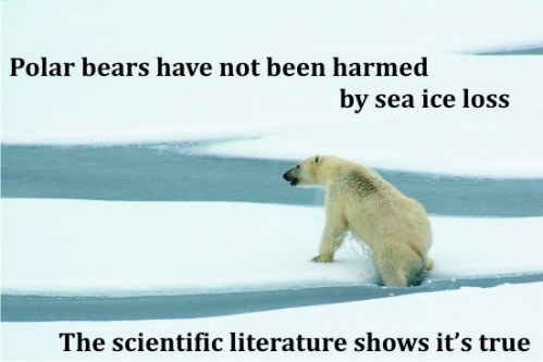USGS w_polarbearscience_caption 2016