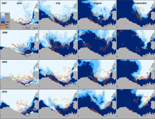 Pongracz and Derocher 2016 fig 2 pbs on ice that is not there.jpg