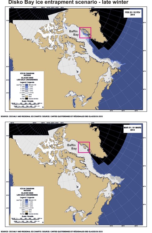 Disko Bay_ice entrapment_PolarBearScience_13 Aug 2016