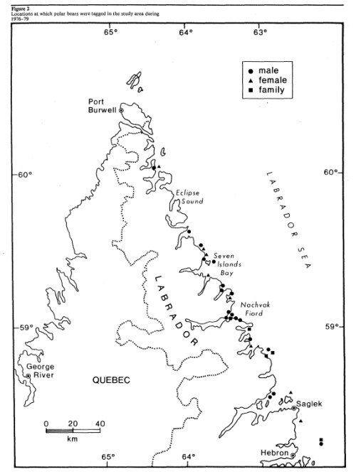 Stirling and Kiliaan 1980 fig 2